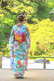 Hanami in spring season