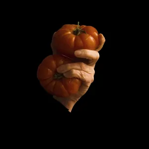 A hand grips two uniquely shaped orange tomatoes against a dark background