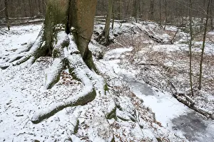 Handbach, tributary to the Rotbach