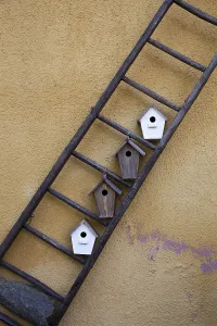 Handmade bird houses, good for concepts of care and safety