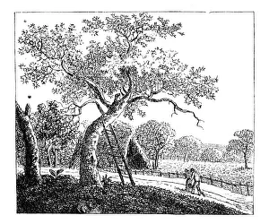Handmade etching by Koerner, historic illustration from Deutsche Literaturgeschichte