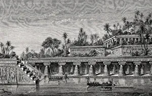 The Hanging Gardens of Babylon