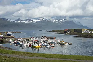 Harbour, Djupivogur, Iceland