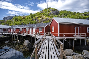 Category Scandinavia Prints: Harbour, Rorbuer cabins, historic fishing village Nusfjord