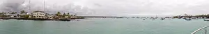Harbour, Santa Cruz, Galapagos, Ecuador