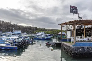 Category Historic EN Prints: Harbour, Santa Cruz, Galapagos, Ecuador