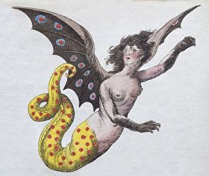 Harpy, mythical creature