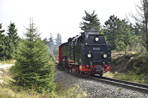 Category Mountain Landscapes Prints: Harz narrow-gauge railway on the way to the Brocken