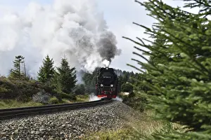 Harz narrow-gauge railway on the way to the Brocken