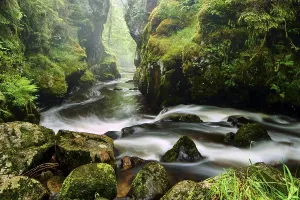 Haslach Gorge, Haslach, Rechenfelsen
