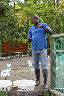Hatchery for olive ridley sea turtles (Lepidochelys olivacea)