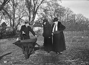 Having fun in the 1930s. An elderly man offers his equally old lady friends a ride in his wheelbarrow