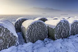Hay bales, icy, hoarfrost, snow