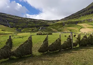 Hay hung to dry, Tjoernuvik or Tjornuvik