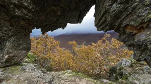 Hayedo de la Pedrosa Natural Protected Area