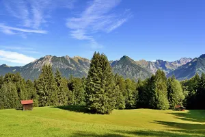 Haystack on a mountain meadow, surrounded by mountain spruces( Picea abies)