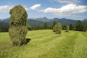 Haystacks in the alps of Bavaria Germany
