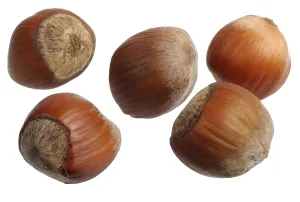 Several of hazelnuts on a white background