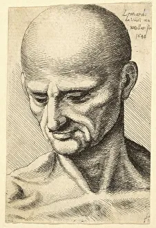 Head of a Bald, Sinewy Man Looking Down
