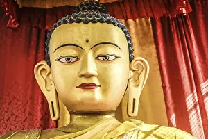 Head of a Buddha statue, Swayambhu temple complex