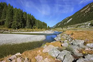 Headwaters Krimml waterfalls. The narrow stream flows between fields and pine forests