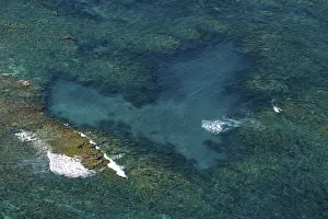 Heart-shaped coral, Ningaloo Reef