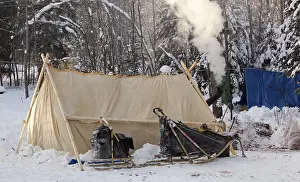 Heated wall tent, sled and camp of a dog musher