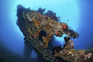 Heck of by an American shipwreck from the second World War overgrown with corals