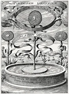Heliotropic sunflower clock by Athanasius Kircher