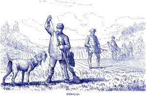 Hen hunt, partridges, driven hunt
