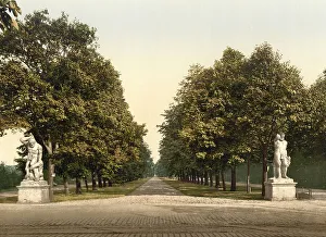 The Hercules Street in the Old Town of Dresden
