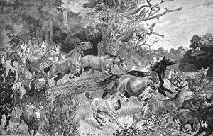 Herd of horses flees from the paddock because of a forest fire
