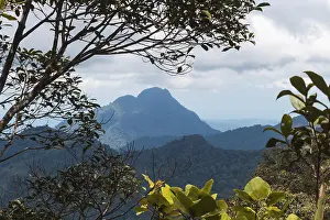 High mountain and cloudy sky in the jungle