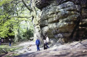 High Rocks, Mesolithic rock shelter, Tunbridge Wells, East Sussex, England, UK 1983
