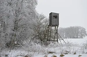 High seat at the edge of the forest
