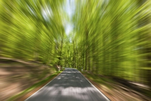High speed motion, country road through a forest