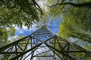 High-voltage pylon, electricity pylon in the forest