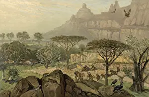 In the highlands of Abyssinia, today Simien National Park