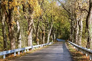 Highway in the autumn forest, yellowed trees on the edges of the highway