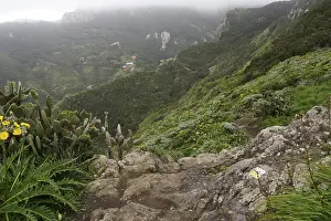 Hike in the Anaga Mountains around Chamorga