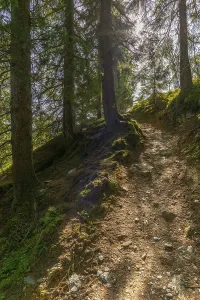 Hike Eggalm to Tux-Vorderlanersbach (1257m)