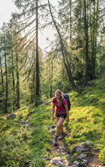 Hiker on the ascent, hiking trail to Feldkogel