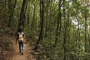 Hiker with backpack walking forest