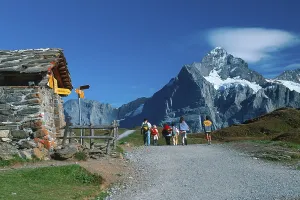 Hiker, Bernese Oberland, Alps, Switzerland