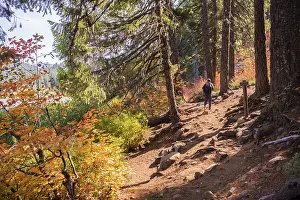 Hiker on a forest trail to Marion Lake