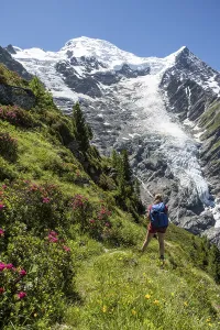 Hiker in front of glacier, hiking trail La Jonction
