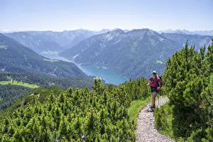 Hiker on a hiking trail between mountain pines