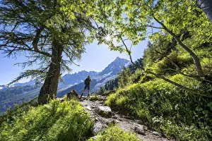Hiker on hiking trail with sun star