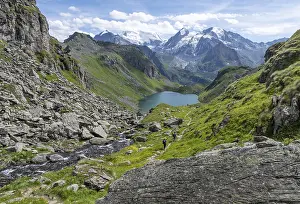 Hiker in front of mountain stream and mountain lake Lac de Louvie with glaciated summit of the Grand Combin