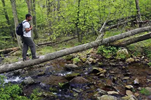 Hiker on a trail in Shenandoah National Park to Dark Hollow Falls
